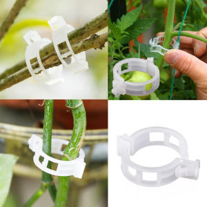 【Free Shipping】50 Pcs Plant Support Clips for Garden Tomato Garden Vegetables Vine to Grow Upright Clips