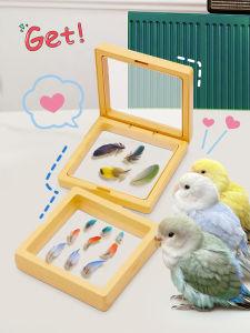 VOA | Feather Collection Frame Bird Feather Storage Toy Bird Perch Parrot Supplies