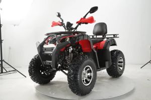 Motor Mini ATV 4 Tak 150cc/200cc: Panduan Lengkap