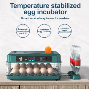 CELOGLO Incubator Digital Fully Automatic Egg Turning Chick Duck Quail Hatcher for 150 Eggs with LED Lighting and Auto Water Replenishment