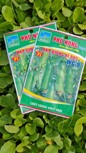 [VTNN TIEN KHOA] Combo 2 Gói Hạt Giống Bí Đao WG9 Của Phú Nông
