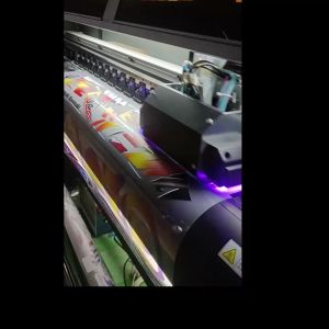 Striping Transparan NINJA SS Lis StickerStiker Variasi Motor KAWASAKI NINJA SS