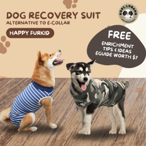 ✅[SG]Pet Recovery Suit | Dog & Cat Surgical Shirt | E-Collar Alternative | Post-Surgery Protective Wear