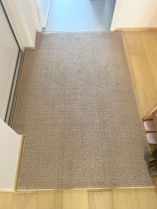 Pure Color Home Entrance Mat Anti-Slip Living Room Floor Carpet Door Mat Foyer Rug Customizable Machine Washable Household Foot Pad