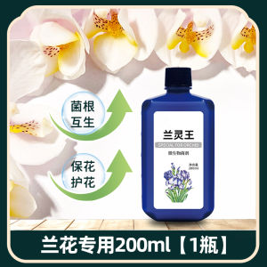 Plant Watering Handy Gadget Orchid Moisture Meter Succulent Flower Letter Moisture Detector Soil Wet and Dry Sensor Instrument Import