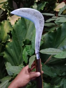 pemangkas rumput liar arit bando tajamalat pertanian. berladang