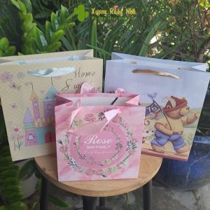 Túi Giấy Bìa Cứng Đựng Quà Hình Chữ Nhật Họa Tiết Dễ Thương Đa Dạng Mẫu Lựa Chọn Xương Rồng Nhỏ