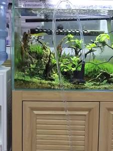 SUNSUN Transparent bucket LW-602 LW-603 EW-602 EW-603 Aquarium Fish Tank Filter Barrel Prefilter Without Pump