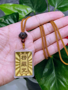 Yayenhuì Ethnic Style Pendant Necklace Mantra Combination Complete Text Lucky Charm Buddhist Symbol Openable Double Fish Tail