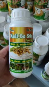 Phân bón vi lượng Kali Bo Sữa 500ml chống rụng hoa trái non tăng tỷ lệ đậu trái giúp trái chắc khỏe đẹp mã chống thối trái sẹo trái rụng trái do thiếu hụt vi lượng