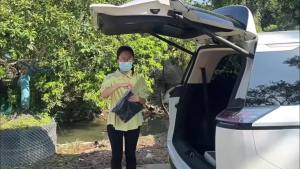 Lưới Chống Muỗi Thoáng Khí Cho Cốp Xe Ô Tô Rèm Lưới Cửa Sau SUV Lưới Chống Côn Trùng Dùng Cho Cắm Trại Ngoài Trời Thích Hợp Làm Mái Che Nắng