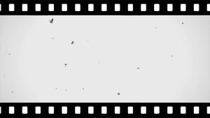 730AT Transfer Tape/Protection Tape 50MM/100MM X 200YDS (custom size)