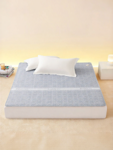 Smart Electric Blanket with Temperature Control and Mite Removal