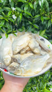 ปลาหมักเกลือ ปลาเน่า น้ำหนัก 1 กิโลกรัม Fermented Fish - Burmese Style Pickled Fish นำไปประกอบอาหารได้หลากหลายชนิด รับประกันความอร่อย 🐟 ปลาหมักเกลือ - ปลาเน่าเก็ดเซ 🐟 ပႃႇၸႃႇ - ပႃႇၸႃႇၶမ်းၵႅတ်းသေ