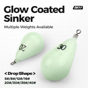 1PC  30g - 150g Luminous Lead Sinker With Soft Plastic Shell