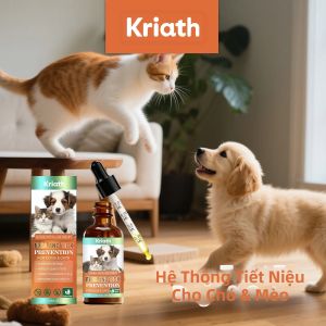Thuốc Nhỏ Tẩy Giun Tự Nhiên Cho Chó & Mèo Tác Dụng Kép Bổ Sung Kiểm Soát Ký Sinh Trùng Đường Ruột Dung Dịch Tẩy Giun Cho Hộ Gia Đình Có Nhiều Thú Cưng