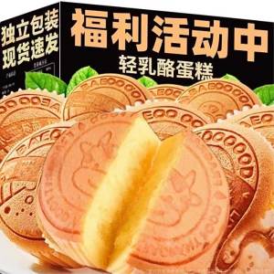Healthy and Tasty Cheese Cake Snacks