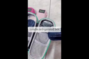 Medicine Cooler Travel Case Waterproof Insulated Bag Diabetic Organizer Portable Beg Simpanan Insulin Sejuk