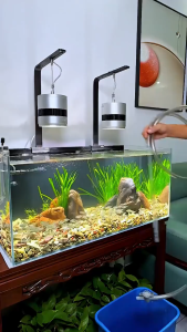 CODเครื่องถ่ายน้ำตู้ปลา อุปกรณ์ถ่ายน้ำ เครื่องเปลี่ยนน้ำตู้ปลา ที่ดูดขี้ปลา ทำความสะอาดตู้ปลา กาลักน้ำตู้ปลา ที่ดูดขี้ปล