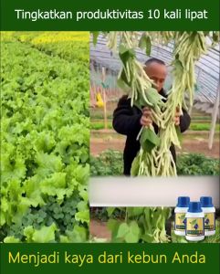 PUPUK GARDEN 68 PAKET 10 BOTOL