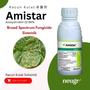 Syngenta AMISTAR 500ml Racun Kulat Bintik Daun Antraknos Kulapuk Downy Cili Timun Azoxystrobin 22.94% Fungicide Alternaria Anthracnose Chilli 杀菌剂 炭疽病