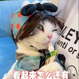 Pet Funny Fake Hair Pet Wig Cat Dog Cosplay Costume Hair Accessories Funny Cute Hair Wigs Rambut Palsu Kucing