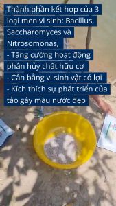 Men Vi Sinh Thuôc Xử Lý Nước Thuốc Đáy Ao Gây Màu Sạch Đáy Ao - PROBAC - MEN VI SINH - Men F5 -Chế Phẩm Sinh Học Nuôi Tôm Cá Ếch Lươn Baba - THUỐC THUỶ SẢN MỸ PHƯƠNG