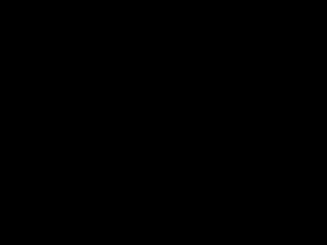 【Ready Stock】Bondhus【USA🇺🇸 】Hex Tip T-Handle (Metric) with ProGuard Finish (🛒Promotion🛒)