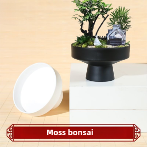 Hydroponic Moss Ball Fern Green Plant Resin Flowerpot Simple Flower Arrangement Special Plate Desktop Micro Bonsai Without Plants
