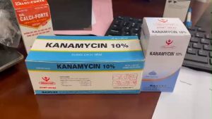 Viêm ruột ỉa chảy trên động vật KANAMYCIN 10% Viêm khớp viêm vú viêm đường hô hấp suyễn tụ huyết trùng trên gia súc và gia cầm. kana dùng cho lở loét mụn nhọt viêm có mủ...
