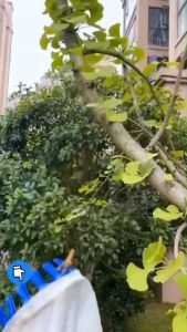 Sào Hái Trái Cây Trên Cao Chắc Chắn  Cứng Cáp Có Thể Rút Gọn 4m  6m 10m