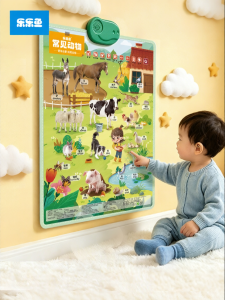 LELEYU | Interactive Early Learning Talking Wall Chart for Toddlers and Children