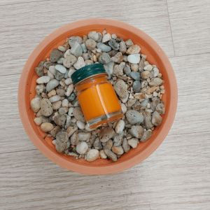 ชูดเดีย ทำยาหม่อง สูตรร้อน ไพล เถาวัลย์เปรียง ขนาด 100 กรัม แนบสูตรและวิธีการทำ