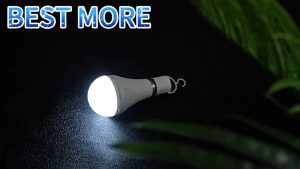 Emergency Rechargeable Light Bulbs Portable Automatic charging Removable Bulb Equivalent Self-Charging LED Light for Home Camping Hiking