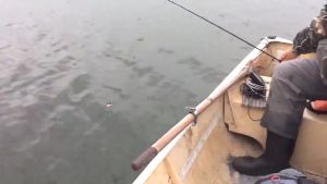 COD Penjepit Bibir Ikan TeeWap Fishing Lip Grabber Fishing Tool Murah Kuat Stainless Steel