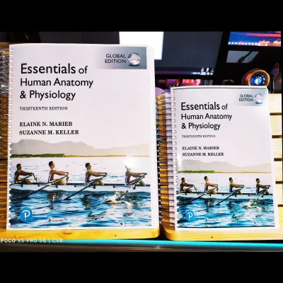 ESSENTIAL OF HUMAN ANATOMY AND PHYSIOLOGY 13TH EDITION - GLOBAL EDITION