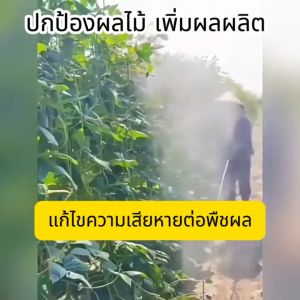 สูตรธรรมชาติไม่กลัวแดดและฝน ไร้พิษ ไล่นกพิราบถาวร 25gผสมน้ำได้15kg 10000เมตรไม่มีนก ไม่กลัวตากแดดและฝนตก ก้อนไล่นก อุปกรณ์ไล่นก ไม่เป็นอันตรายต่อสัตว์เลี้ยงและคน เครื่องไล่นก ผลิตภัณฑ์มีกลิ่นที่นกไม่ชอบ ที่ไล่นกพิลาบ สัตว์ไม่กล้าเข้าใกล้ ไล่นกพิราบ