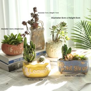 Creative Ventilated Cactus Pot Large