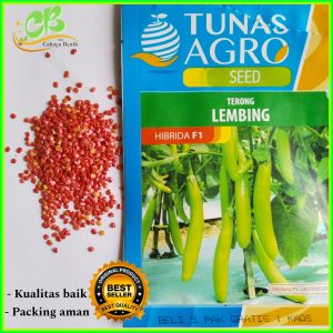 100 Butir Benih terong hijau panjang LEMBING-TUNAS AGRO