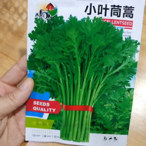Gói hạt giống tần ô hạt giống cải cúc dễ trông - Hoang My food and beauty