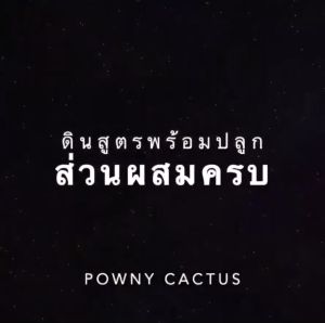 ดินปลูกสมุนไพร ดินออแกร์นิค ดินปลูกแคคตัส สูตรโปร่ง ไม่มีสารเคมี มีปุ๋ยอินทรีย์พร้อมใช้งาน ดินปลูกสมุนไพร ซื้อที่ไหน ดินปลูกสมุนไพร ราคา - Lazada