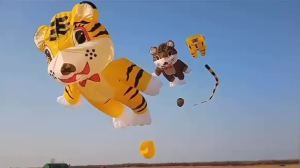 Soft kite tiger kites pendants large outdoor flying toy adults kite factory octopus kite Space Walk new shape kite kite surf koi
