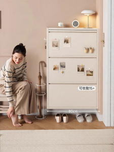 Scandinavian Style Steel Thin Shoe Cabinet