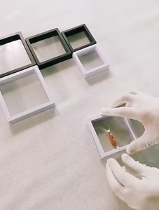 Hộp Trưng Bày Trang Sức Trong Suốt Màng PE Co Giãn Bảo Quản Vòng Tay Nhẫn Dây Chuyền