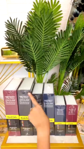 HOMESAFE Brankas Mini Model Buku Penyimpanan Tahan Api Dan Air Key Lock Hidden Safe Box - KBS