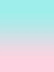 🇸🇬 Ceramic Pet Hideout Hamster Habitat and Toy