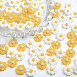 60PCS Simulated Creative Daisy Nail Art Charms Minimalist Double Colors Sweet Sunflower Resin Nail Decorations DIY Hairpin Nails