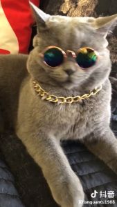 Kacamata Hewan Peliharaan Kucing Anjing Pet Sunglasses Model Robot