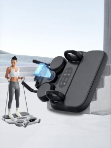 CHONGXIAOMU | Multi-functional Rebounding Abdominal Workout Board