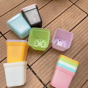 CVPPM6CM - 10 chậu vuông nhựa PP trồng sen đá bonsai xương rồng có 7 màu chọn - size 6x6cm